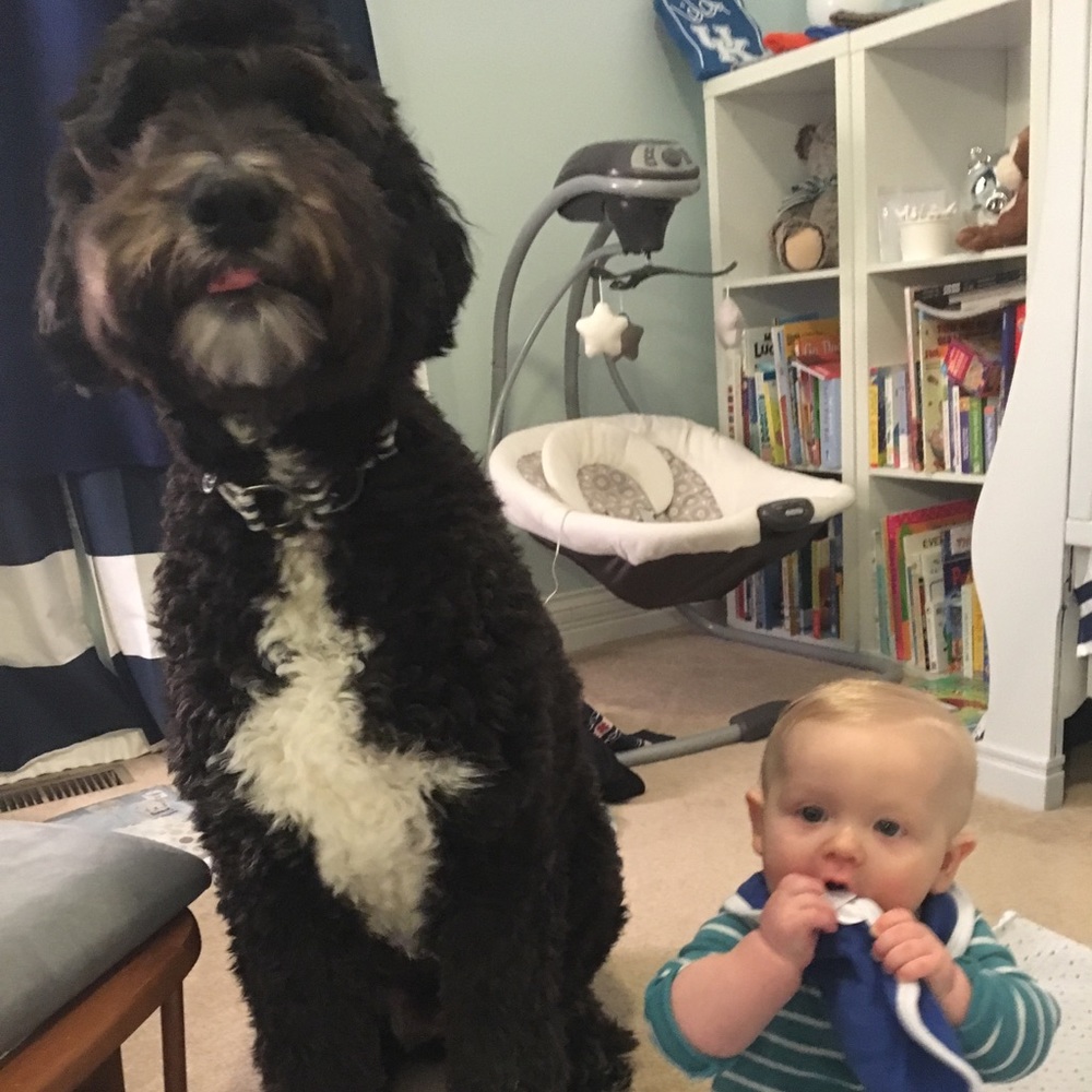 Meet your Posher, Tara